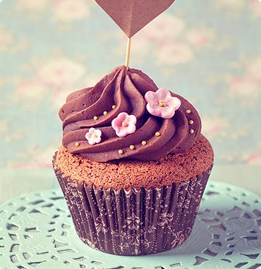 Chocolate Cup Cake